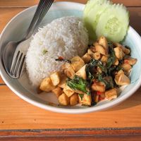 Tofu, mushroom, rice - spicy & garlicky  at Malakor Kitchen and Cafe - ร้านมะละกอ in Ayutthaya