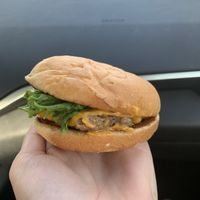 This was $10 not including fries. Fries were additional 5 and were soggy  at Plantees in Orlando