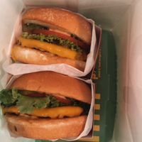 baggie  at Plantees in Orlando