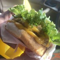 Double Patty burger  at Plantees in Orlando