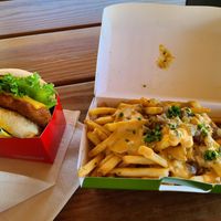 Fried chicken sandwich and loaded plant fries at Plantees in Orlando