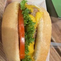 Single patty   at Plantees in Orlando