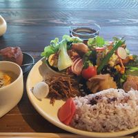 Dig in! at Komeday no.1 in Taki