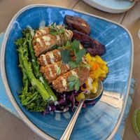 Vegan 'chicken' dish at Turtle Bay in Sheffield