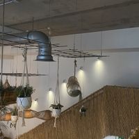   at Hanging Out Café in Hamburg