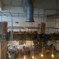   at Hanging Out Café in Hamburg