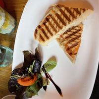 Vegan panini #Veganuary at Frogmoon in Aberdeen