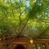   at Fordwich Arms in Canterbury