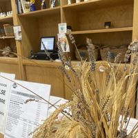   at Aboamigalla in San Cristovo De Cea