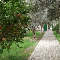 garden at Singola Ristorante Naturale in Modica