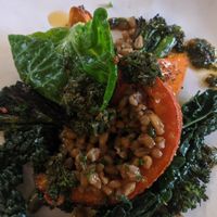 Roast squash w/ quinoa at Bottle & Glass Inn in Henley-on-thames