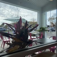   at Fresh Kitchen in Gainesville