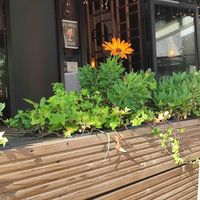  at TA Vegan House - Altona in Hamburg