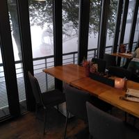 View on the foggy gondola at Die Bergstation in Freiburg