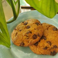   at Nirvana Coffee Company in Barnstable