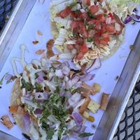 Avocado taco and jackfruit tacoos  at Vatos Tacos + Tequila at The Foundry in Loveland