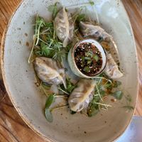 Gyoza  at Fern Flavors from the Garden in Charlotte