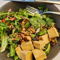 Spring Salad with Crispy Tofu at Banter in Bellingham