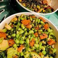 The Vegan Original & Next Level Tempeh at Poké Perfect in The Hague