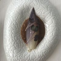   at Ristorante Corallo in Vallecrosia