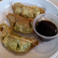 Vegetable gyozas at Yo! Sushi in Bristol