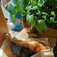 Very blight and nice mood at Croissanterie in Berlin