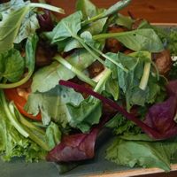 spielwiese 11,50€ at Peter Pane in Oberhausen