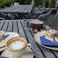 We shared two vegan cakes: marmor cheesecake and poppyseed cake. at Suedbrause Bei Freunden in Leipzig