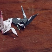 Papercranes they make and give you on payment at Sushi Ten Bento in Puno