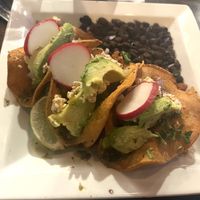 Crispy Plant-Based Street Tacos  at Blue Agave Grill in Fort Collins