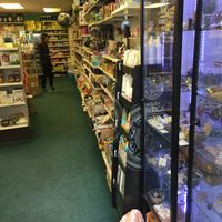 Inside store at Grantham Health Store in Grantham