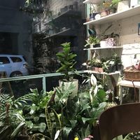 interior  at Naturaleza Sabia in Buenos Aires