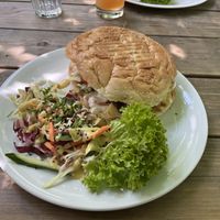   at Falscher Hase in Dresden