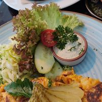  at Falscher Hase in Dresden