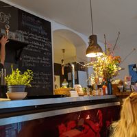  at Falscher Hase in Dresden