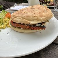   at Falscher Hase in Dresden