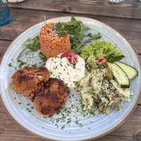   at Falscher Hase in Dresden