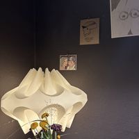   at Falscher Hase in Dresden