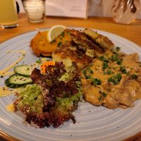  at Falscher Hase in Dresden