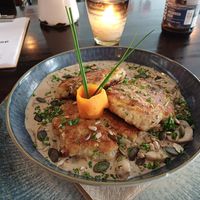  at Falscher Hase in Dresden