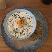 kalte Gurkensuppe mit radieschen   at Falscher Hase in Dresden