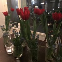 Tulips! at Marits Eetkamer in Amsterdam