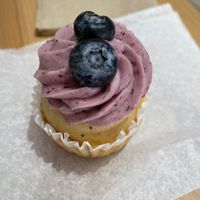 Lemon Blueberry Poppyseed cupcake at Stephanie's Vegan Bakery + Cafe in Fort Lauderdale