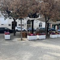   at Ultimo Café in Trani