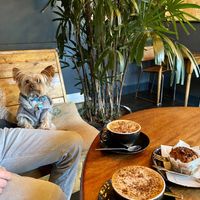 Dog-friendly   at Shoelane Coffee in Dun Laoghaire