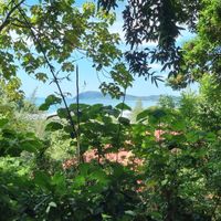 View at Pegaga in Langkawi