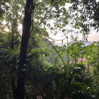 View to beach  at Pegaga in Langkawi