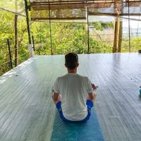   at Pegaga in Langkawi