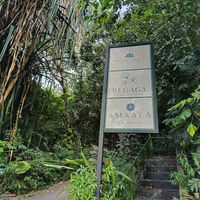  at Pegaga in Langkawi