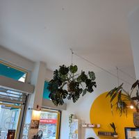 more vibe at Ubuntu in Athens